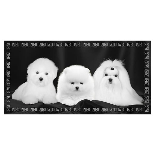 TPL RĘCZNIK Z MIKROFIBRY 80x160 cm WZÓR MALTAŃCZYK BICHON POMERANIAN